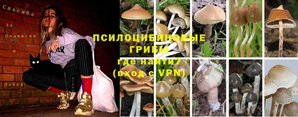 герыч Верхний Тагил