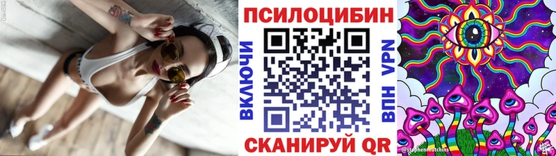 Псилоцибиновые грибы Psilocybe  Купить закладки  Ардон 