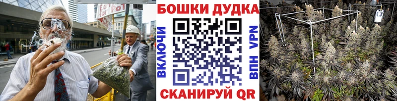 Каннабис планчик  Купить закладки  Ардон 
